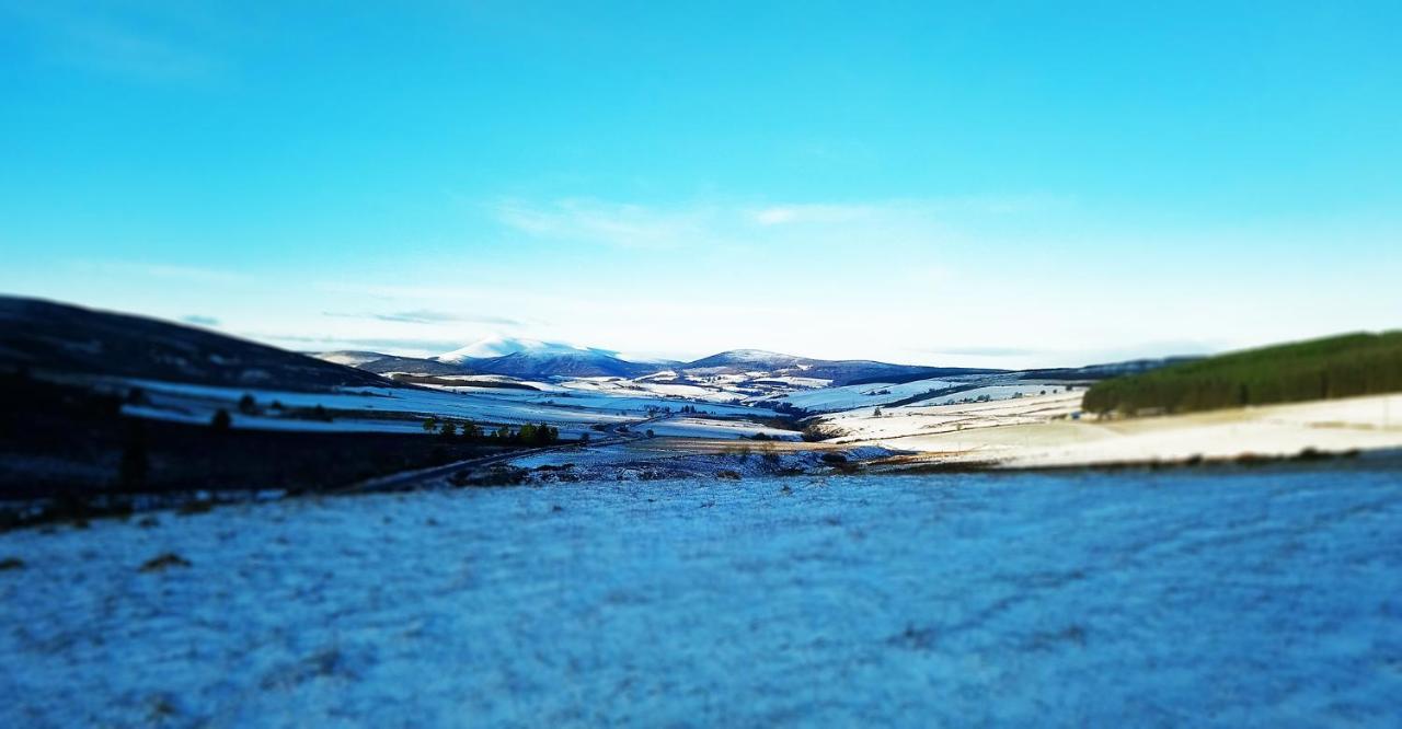 Little Robin Bed & Breakfast Dufftown